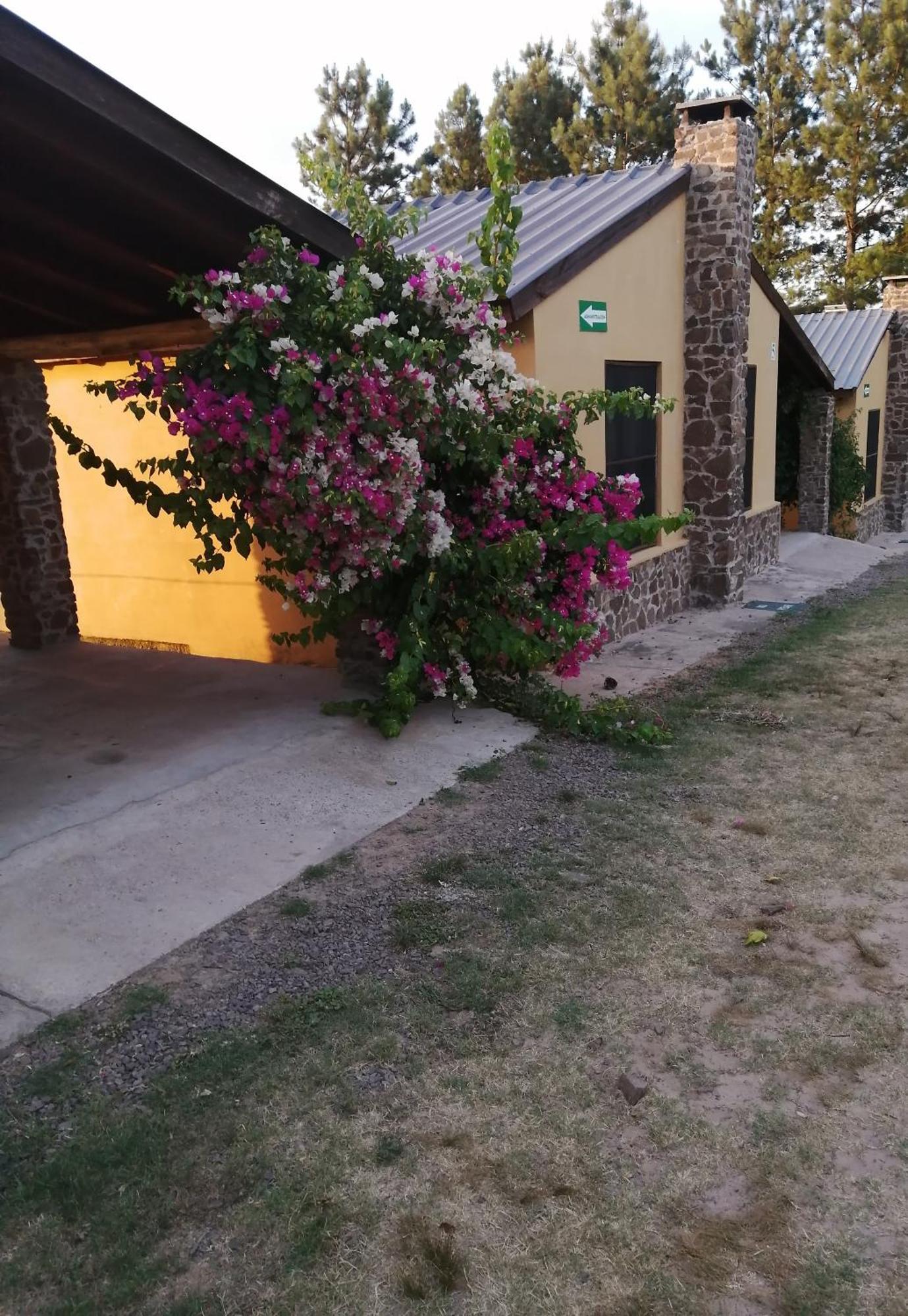 La Araucana Tacuarembo Exterior photo